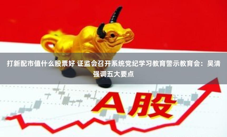 打新配市值什么股票好 证监会召开系统党纪学习教育警示教育会：吴清强调五大要点