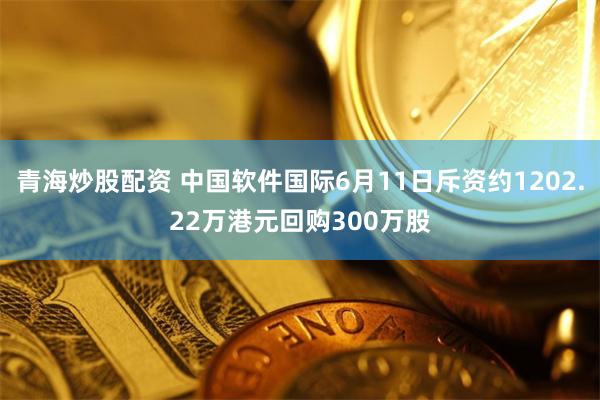 青海炒股配资 中国软件国际6月11日斥资约1202.22万港元回购300万股