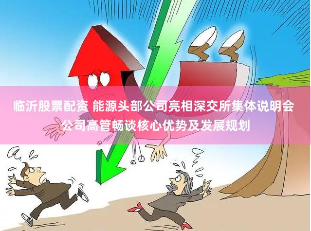 临沂股票配资 能源头部公司亮相深交所集体说明会 公司高管畅谈核心优势及发展规划