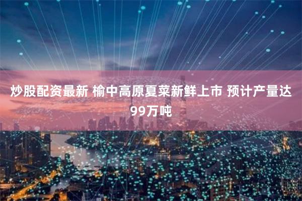炒股配资最新 榆中高原夏菜新鲜上市 预计产量达99万吨