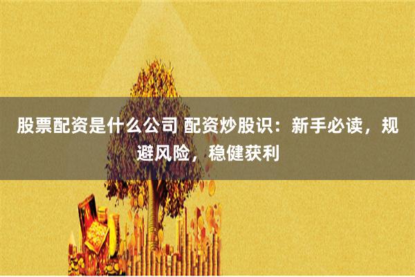 股票配资是什么公司 配资炒股识：新手必读，规避风险，稳健获利